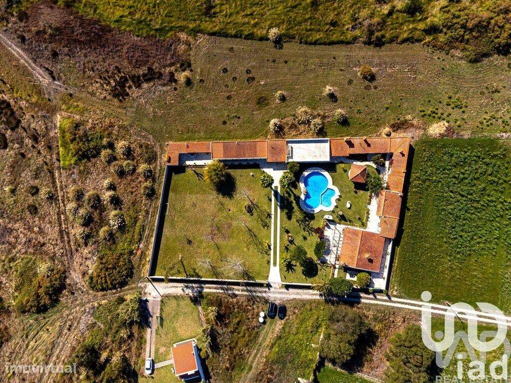 Quinta T4 em Ovar, São João, Arada e São Vicente de Pereira Jusã de 28 - Grande imagem: 5/32