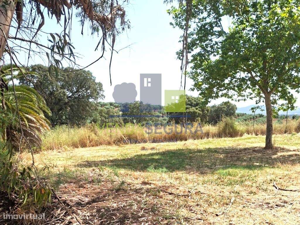 Herdade | Sobral da Adiça - Grande imagem: 4/15