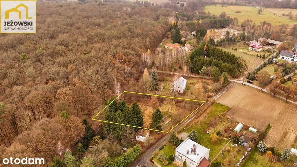 Rezerwacja! Siedlisko przy lesie 2300 mkw. - Pełny obrazek: 4/6