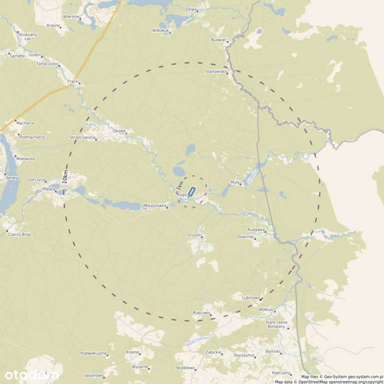 Grunt 6,59 ha z lasem | Rygol- pow. augustowski - Pełny obrazek: 5/5