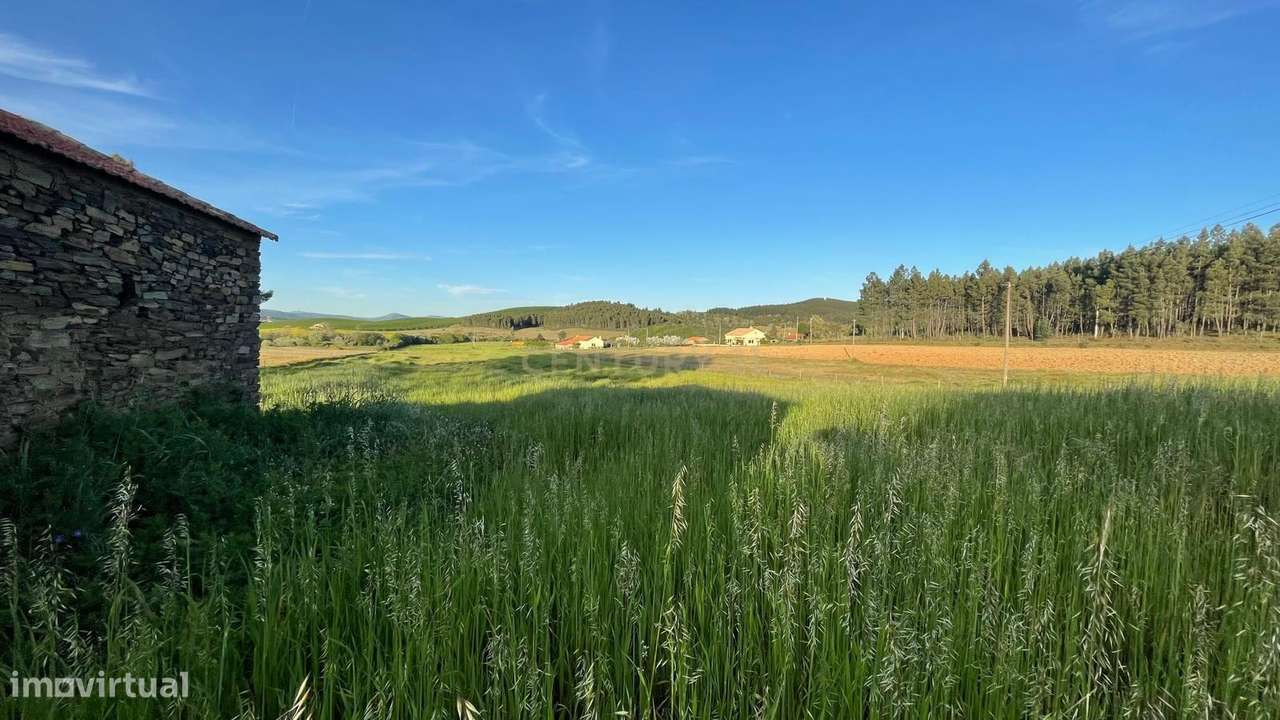 Terreno com 2Ha nos Enxames, Concelho do Fundão - Grande imagem: 3/13