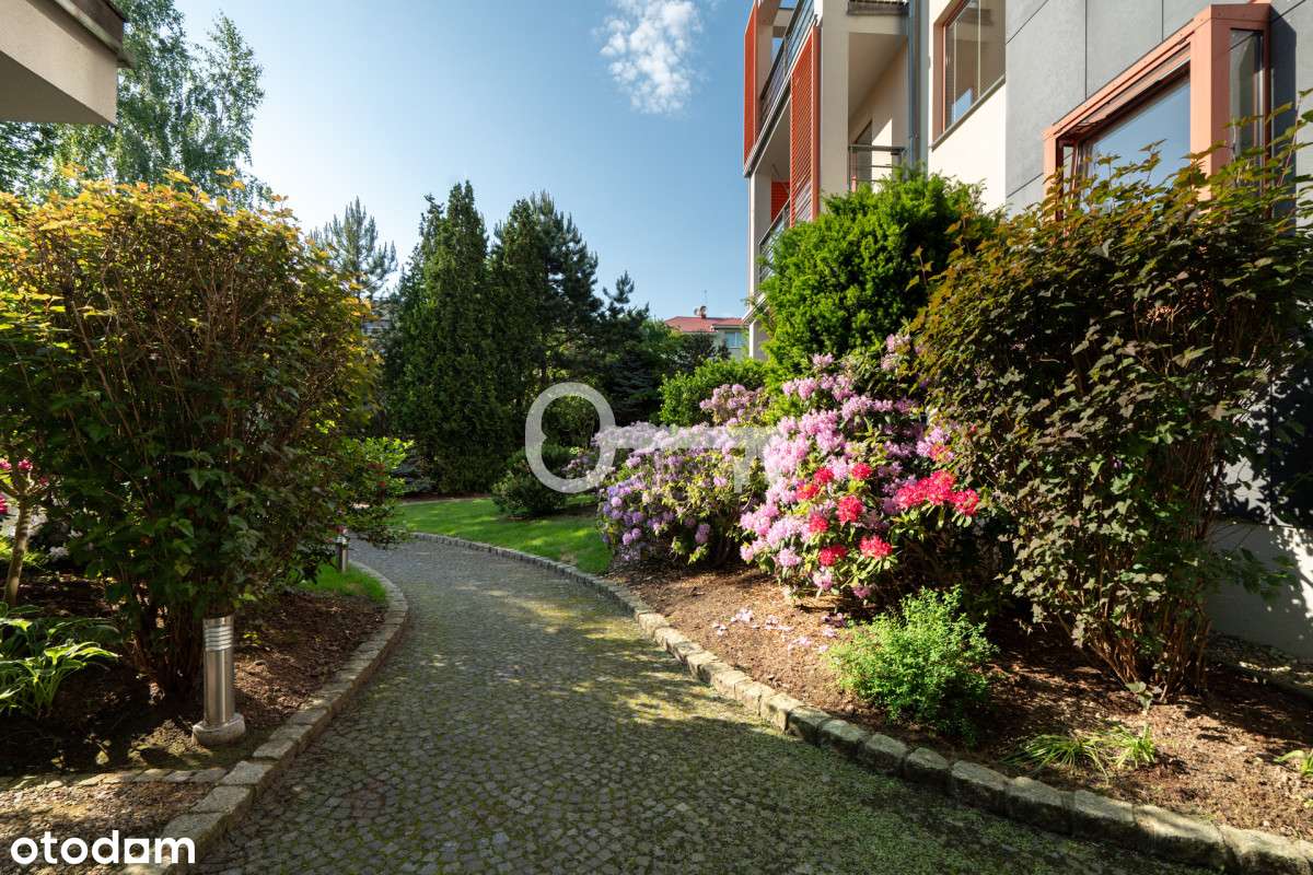 Taras 144 m2 | Widok na las i morze | Potencjał - Pełny obrazek: 4/11