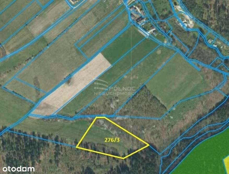 Działka górach Ponikwa Kotlina Kłodzka - Pełny obrazek: 5/5