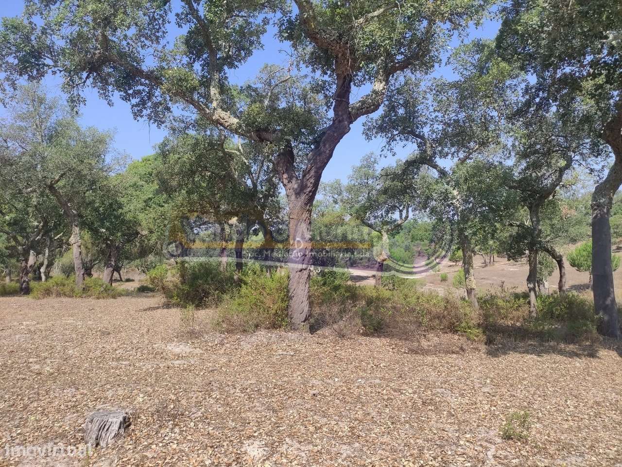 Monte Alentejano em Mora (MOR037) - Grande imagem: 5/32