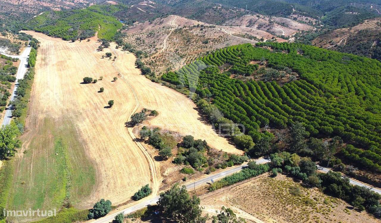 Herdade com 625,77ha em Odemira - Grande imagem: 3/39