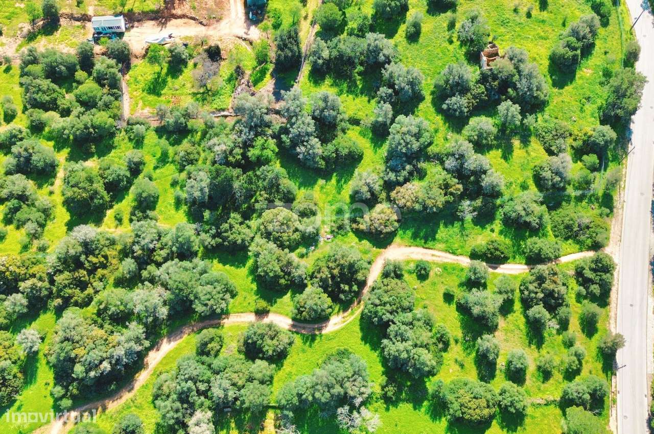 Terreno Rústico Bemposta - Grande imagem: 4/15