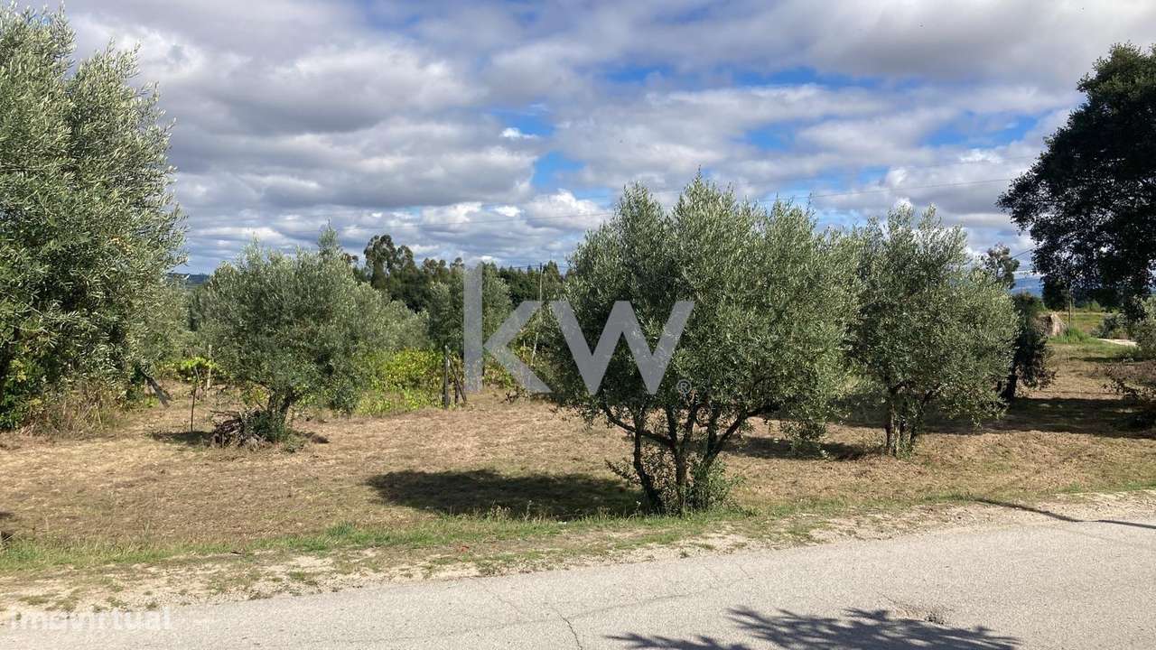 Terreno em Vila do Mato, Tábua - Grande imagem: 5/6