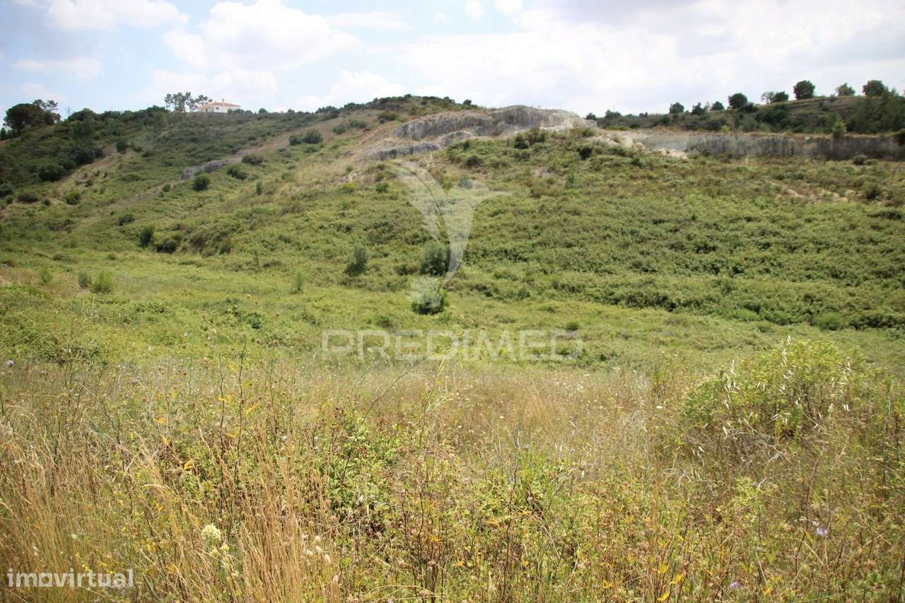 Terreno rustico  com 8.5 HA - Grande imagem: 2/17