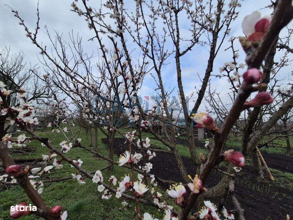 Casa la cheie cu garaj, D+P+E, 200 mpu, 1 400 mpt, central Dezmir - Imagine principală: 5/19