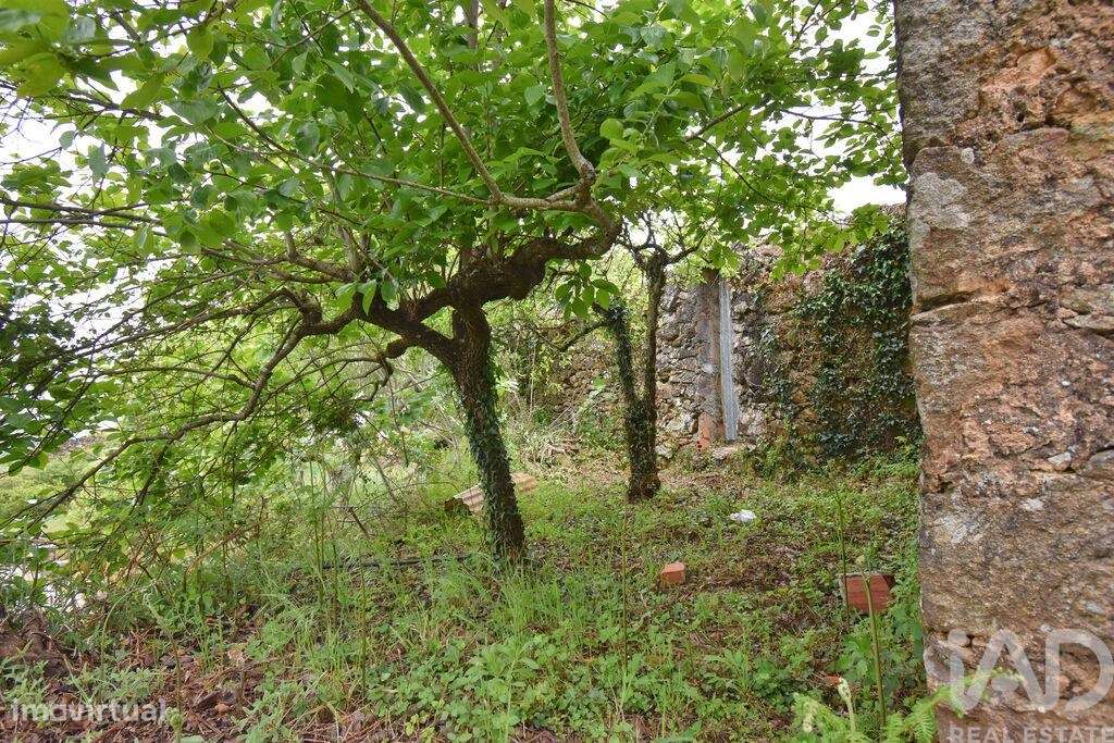 Casa de aldeia T4 em Vila Nova de 240,00 m2 - Grande imagem: 5/30