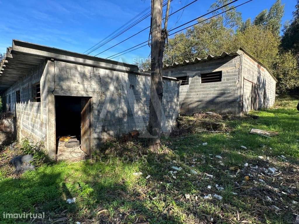 Casa de habitação e barracão - S. SIMÃO DE LITÉM - POMBAL | LEILÃO ... - Grande imagem: 3/6