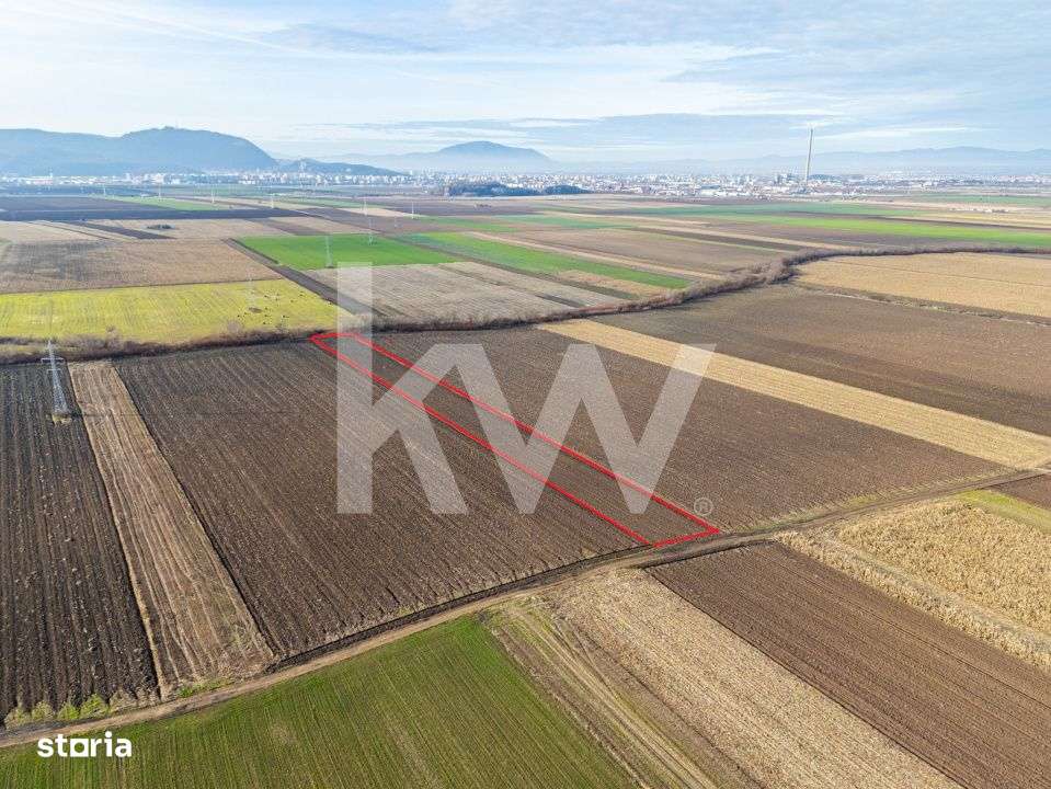 Teren extravilan in Sacele-3500mp, Comision cumparator 0% - Imagine principală: 4/6