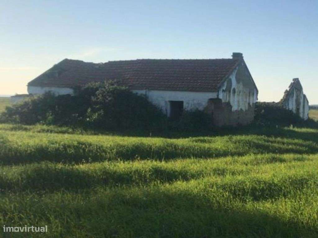 Herdade com 91 ha em São Teotónio, Odemira - Grande imagem: 5/22