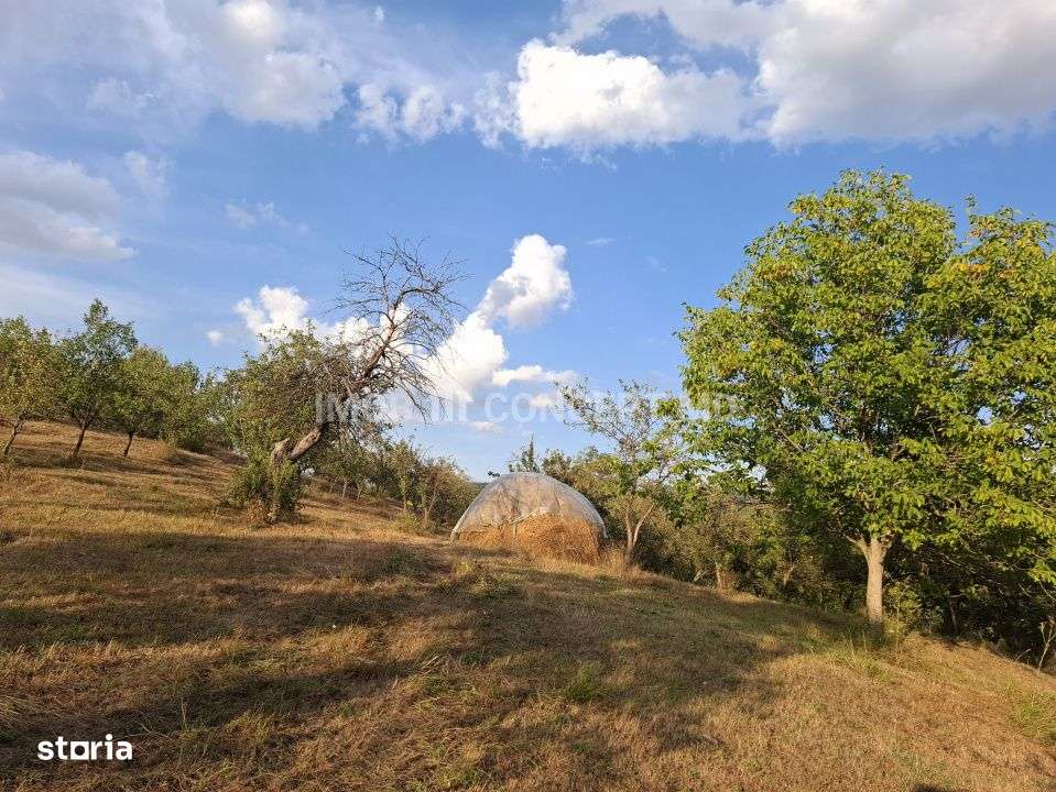 Teren spectaculos cu padure, livada si priveliste panoramica in Soimar-6
