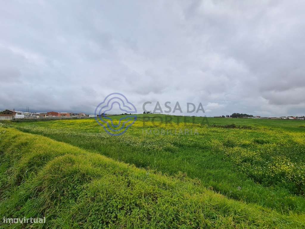 Terreno - 40.560m2 - São Domingos Rana - Cascais-11