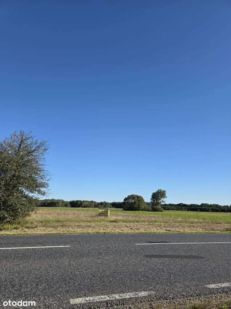 Sprzedam działkę przemysłowo-usługową - Pełny obrazek: 1/4