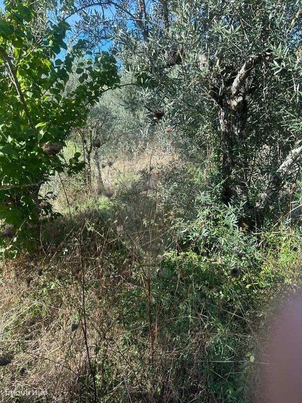 Terreno  para venda - Grande imagem: 4/18