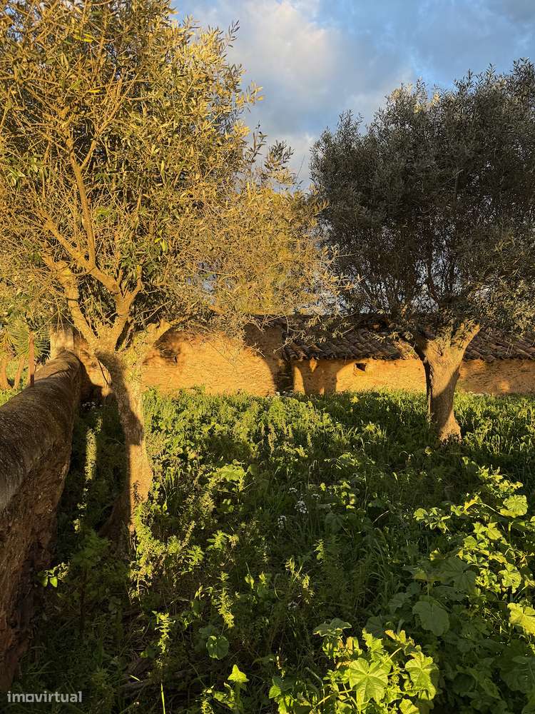 MONTE ALENTEJANO NO ALANDROAL, ÉVORA-50