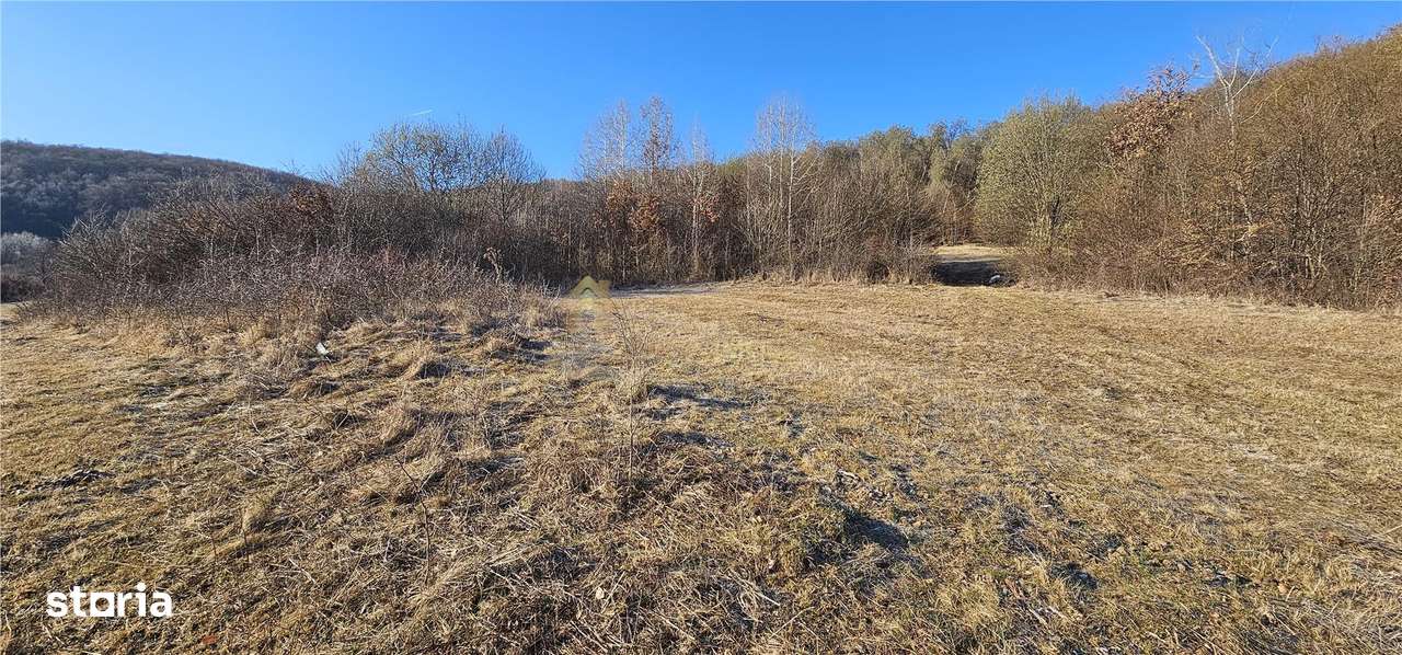 TEREN EXTRAVILAN 6119 MP TAUTI - Imagine principală: 2/4
