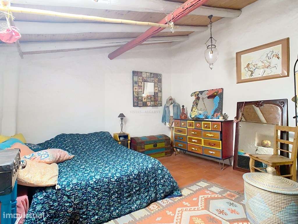 Moradia de charme autêntico + Alojamento Local independente-18