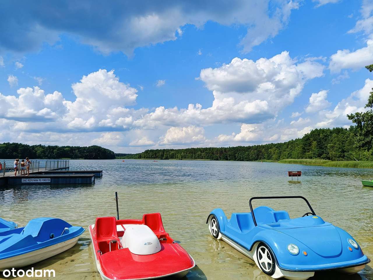 Działka w Chojnie z możliwością podziału-1