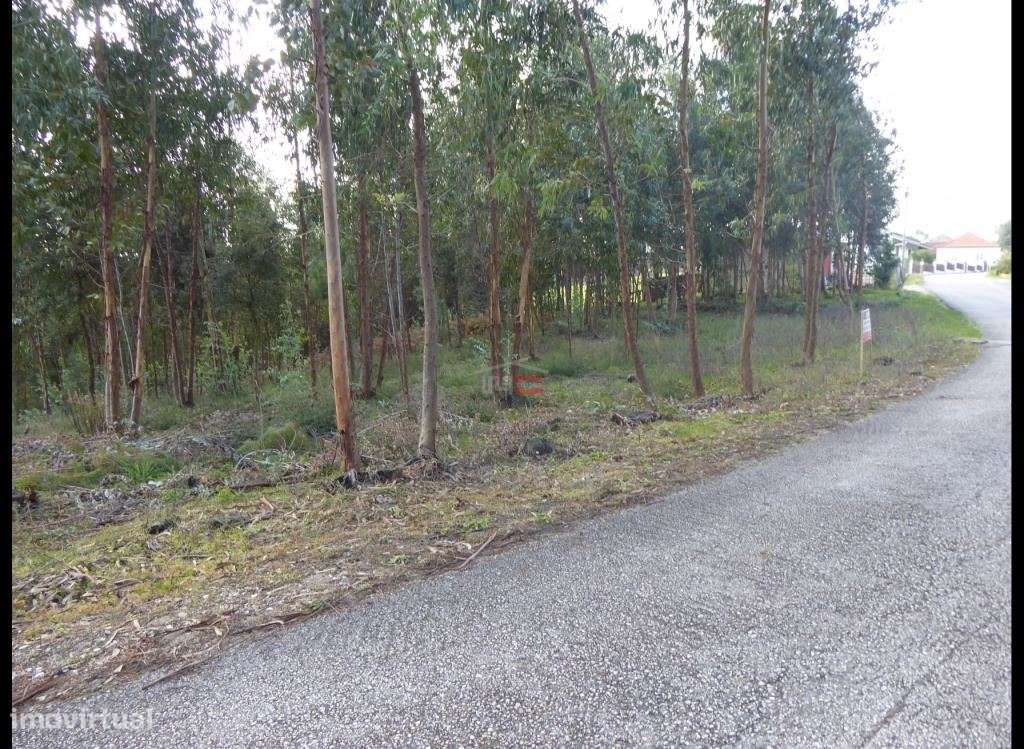 Terreno Atouguia - Grande imagem: 2/11