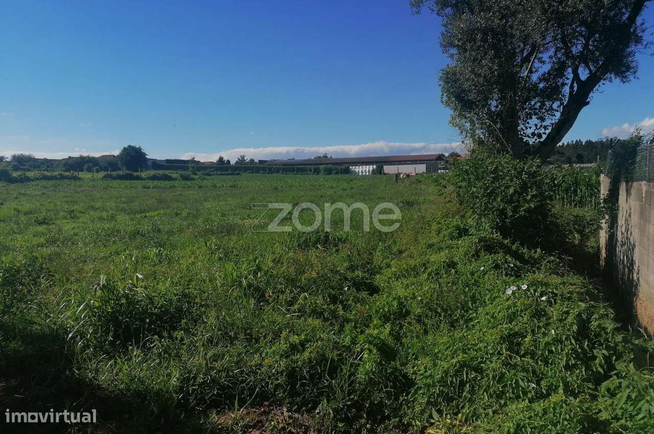 Terreno rústico com 5.000 M2 em Fradelos V.N. Famalicão - Grande imagem: 3/17