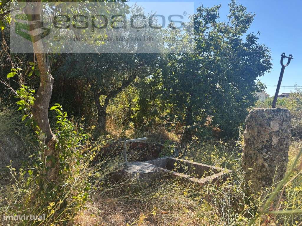 Moradia com terreno-12