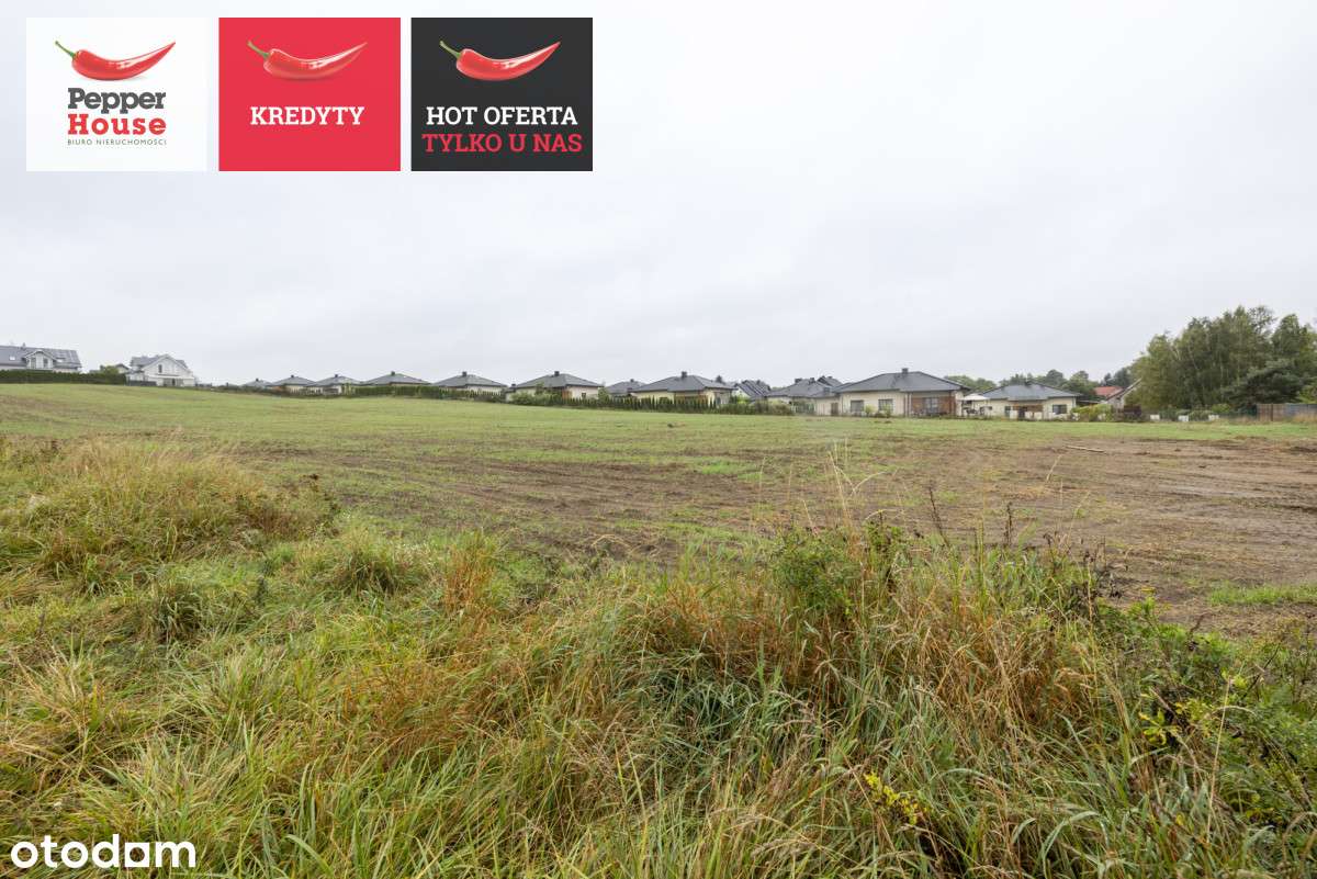 ph231038 - Pełny obrazek: 4/8