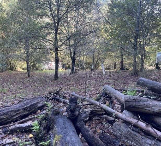 Espetacular Quinta em  Miranda do Corvo, Coimbra - Grande imagem: 5/9