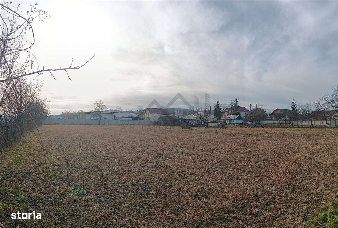 Teren 3500mp. Paun Bucium la asfalt cu toate utilitatile - Imagine principală: 3/7