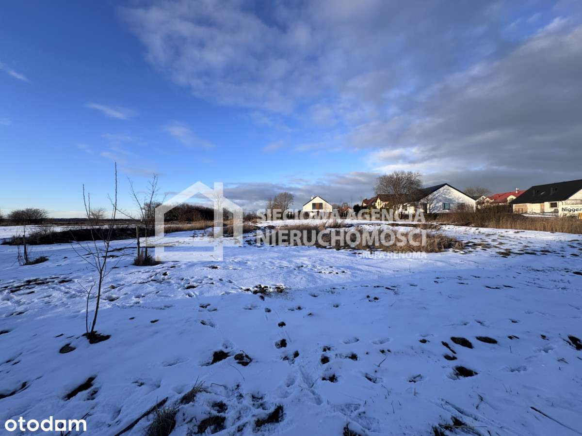 Działka w nadmorskiej okolicy Rewy - Pełny obrazek: 5/6