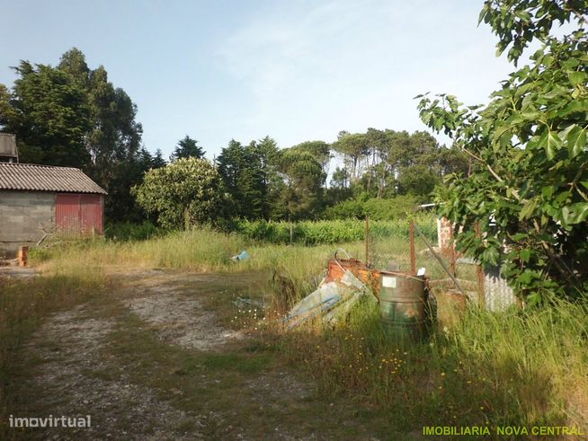 Andar Moradia T4 Venda em Cadima,Cantanhede-12