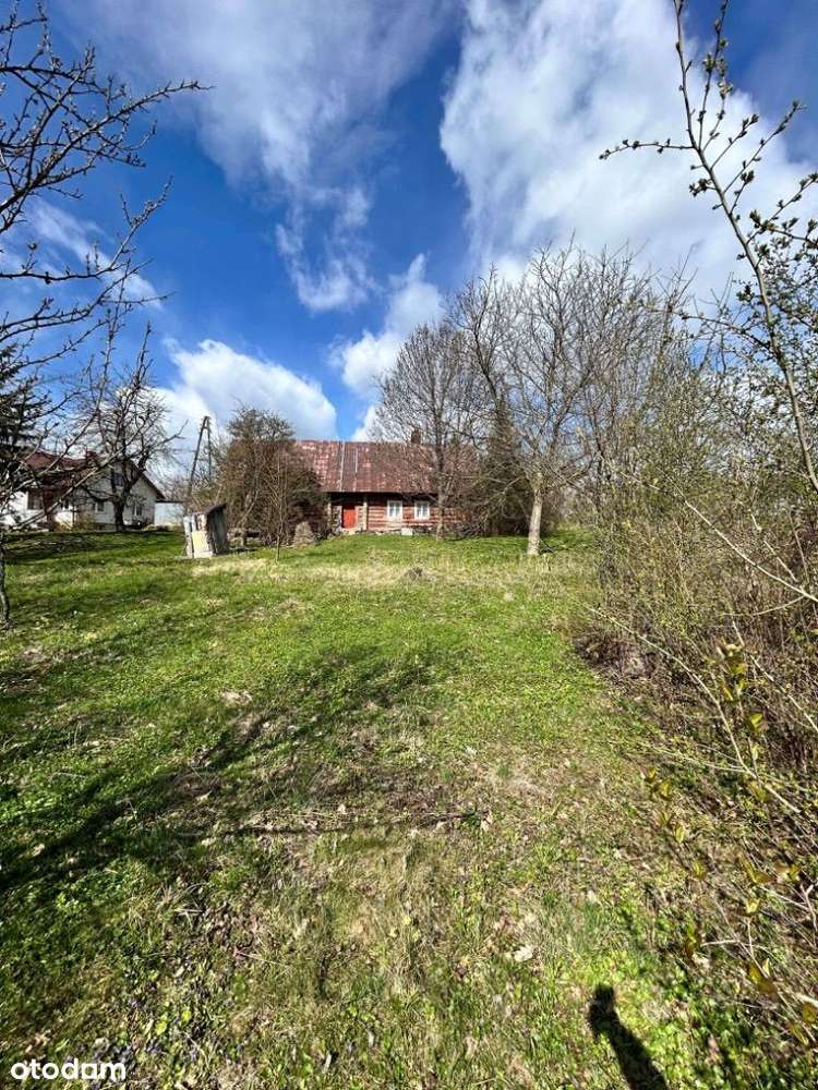 Kombornia, 10 ar - Urokliwa działka z domem i wido - Pełny obrazek: 5/10