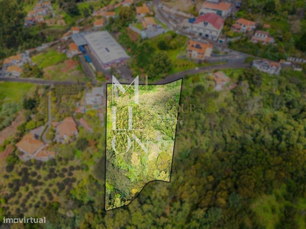 Exclusividade e Elegância no Palheiro Ferreiro – Madeira - Grande imagem: 5/17