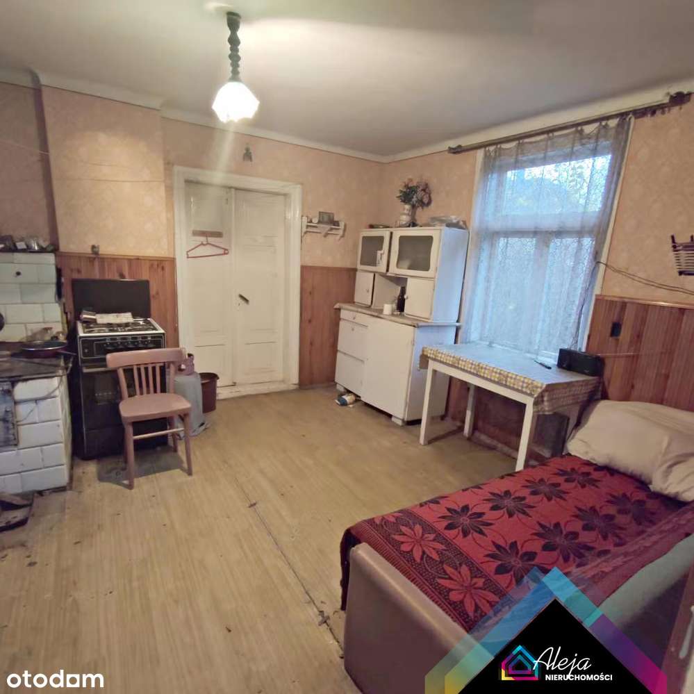 Ogromna działka ze starym domem - Pełny obrazek: 5/11