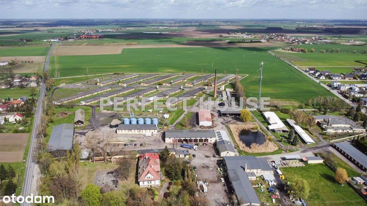 Ferma drobiu, działka 6,8 ha - Pełny obrazek: 3/17