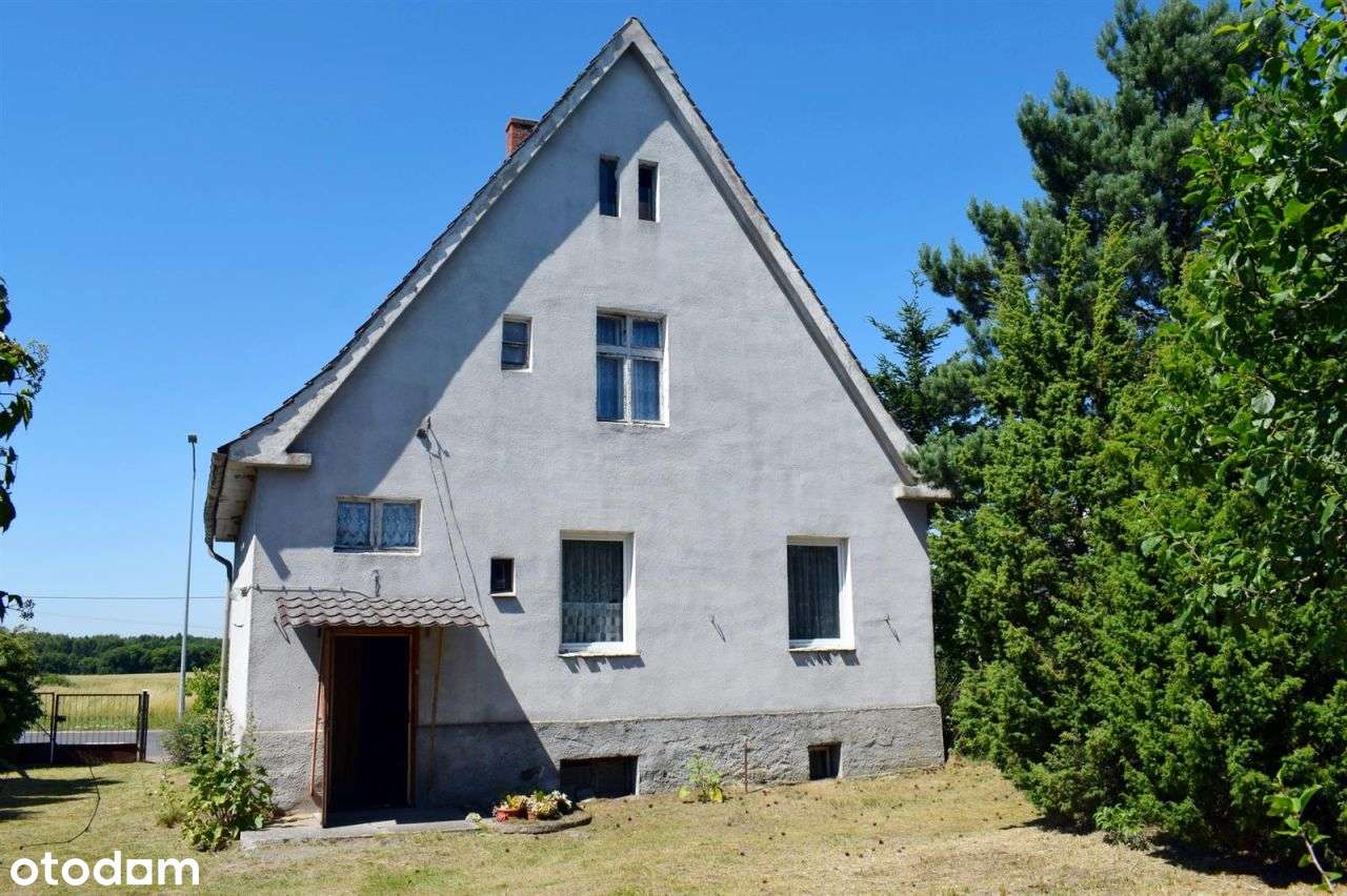 Dom wolnostojący - Węgorzyno - Pełny obrazek: 5/20