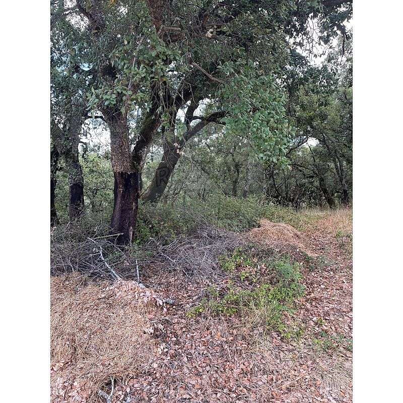 Terreno  para venda - Grande imagem: 4/17