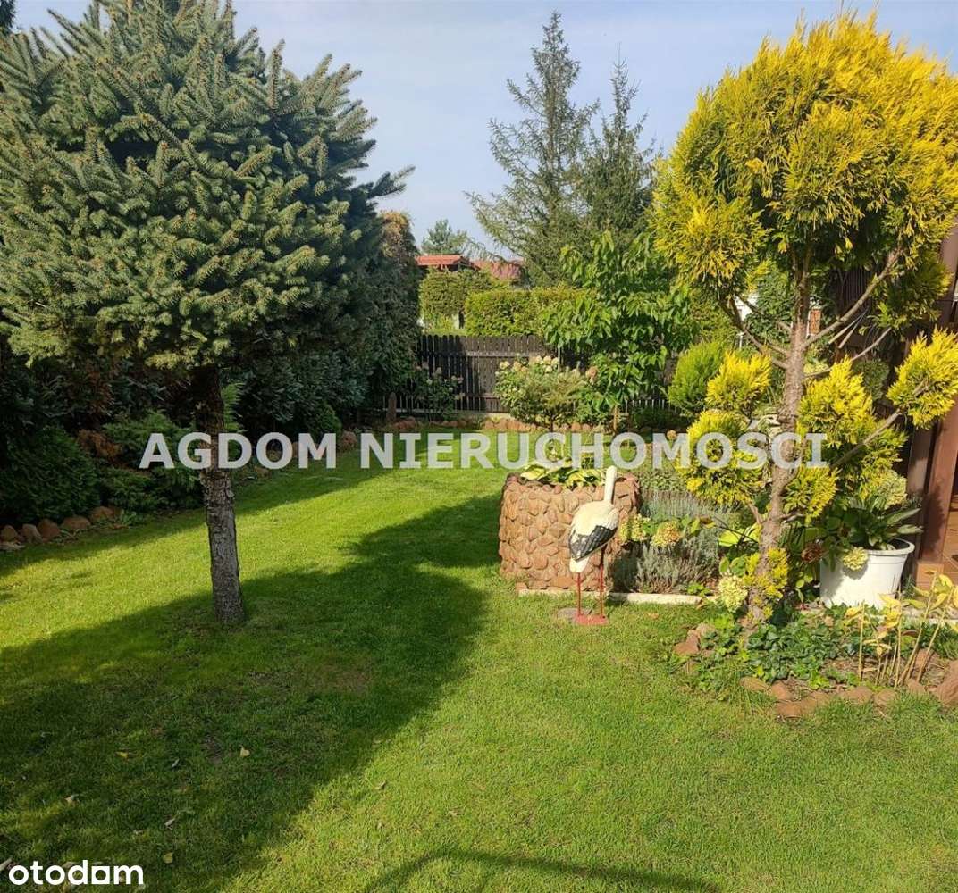 Działka Rod "Wiosenka" - Pełny obrazek: 4/10