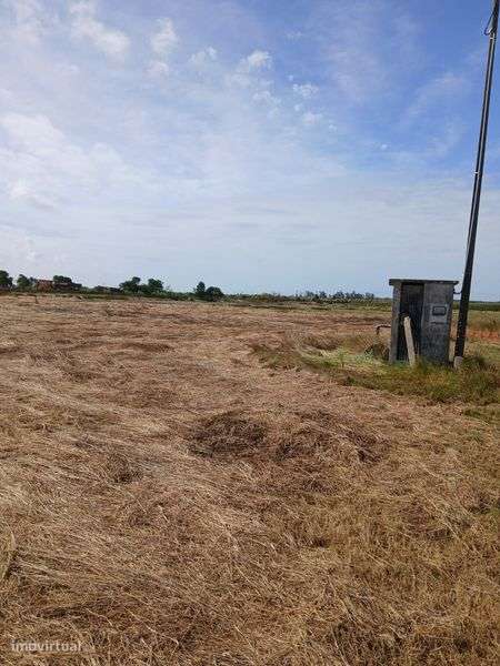 Terreno rústico com vista para a ria. - Grande imagem: 4/5