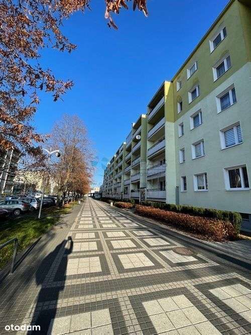 Jasna,ustawna i cicha kawalerka ok. 32m2-8