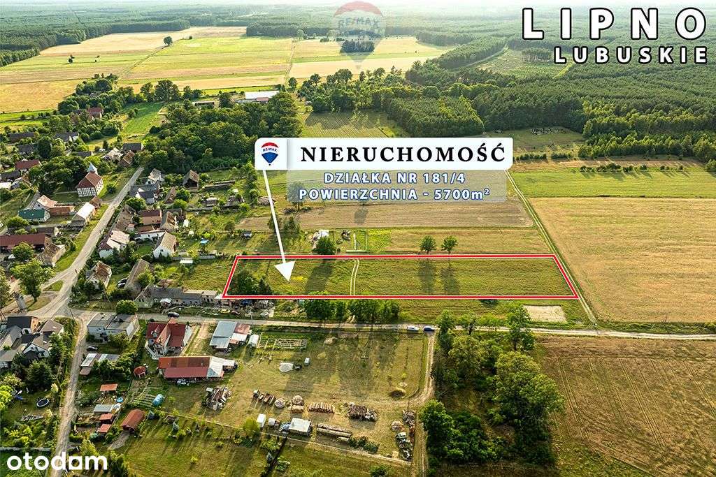 Na sprzedaż działka rolna z warunkami zabudowy - Pełny obrazek: 2/12