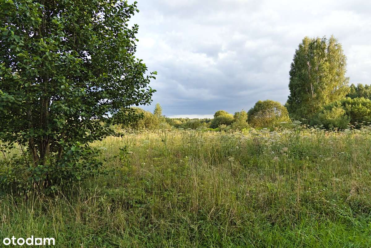 Użytki zielone na skraju Puszczy Białowieskiej, we wsi Olchówka.-4