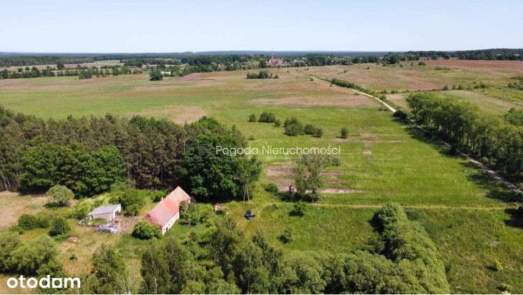 Działka budowla z małym stawem - Pełny obrazek: 4/13