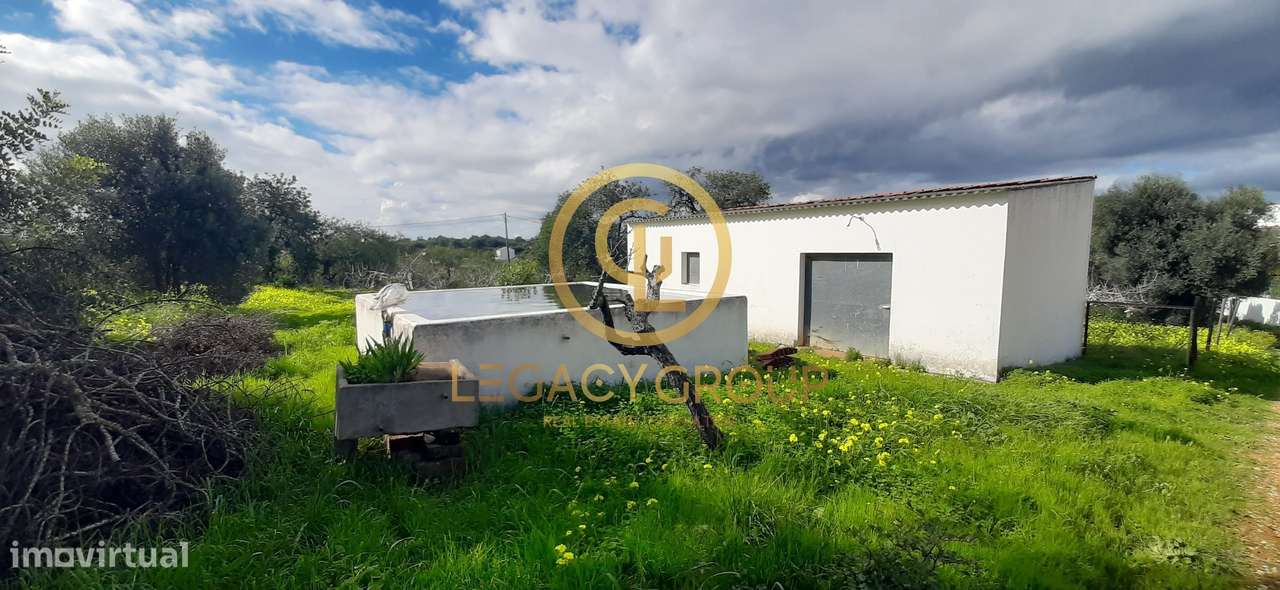 Terreno Barrocal - Altura - Castro Marim - Grande imagem: 5/22