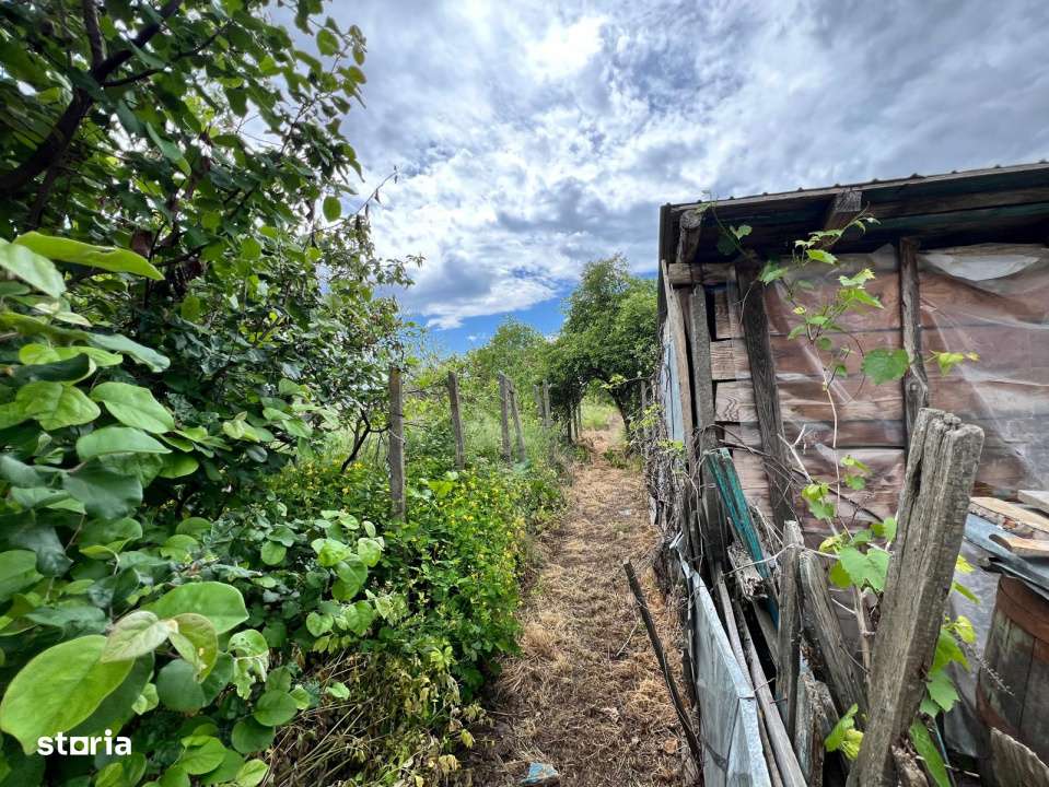 Casa + teren 4430 mp, vie si pomi fructiferi, 22 km de Tecuci-15