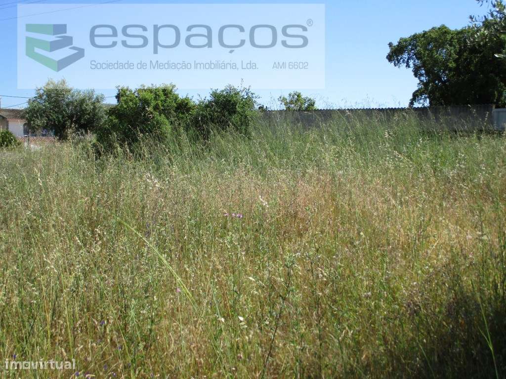 Terreno, Moradia - Grande imagem: 4/7