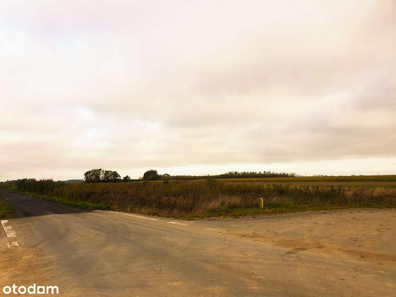 Działka przy obwodnicy 44ar, Rzędzianowice gm. Mielec - Pełny obrazek: 3/4