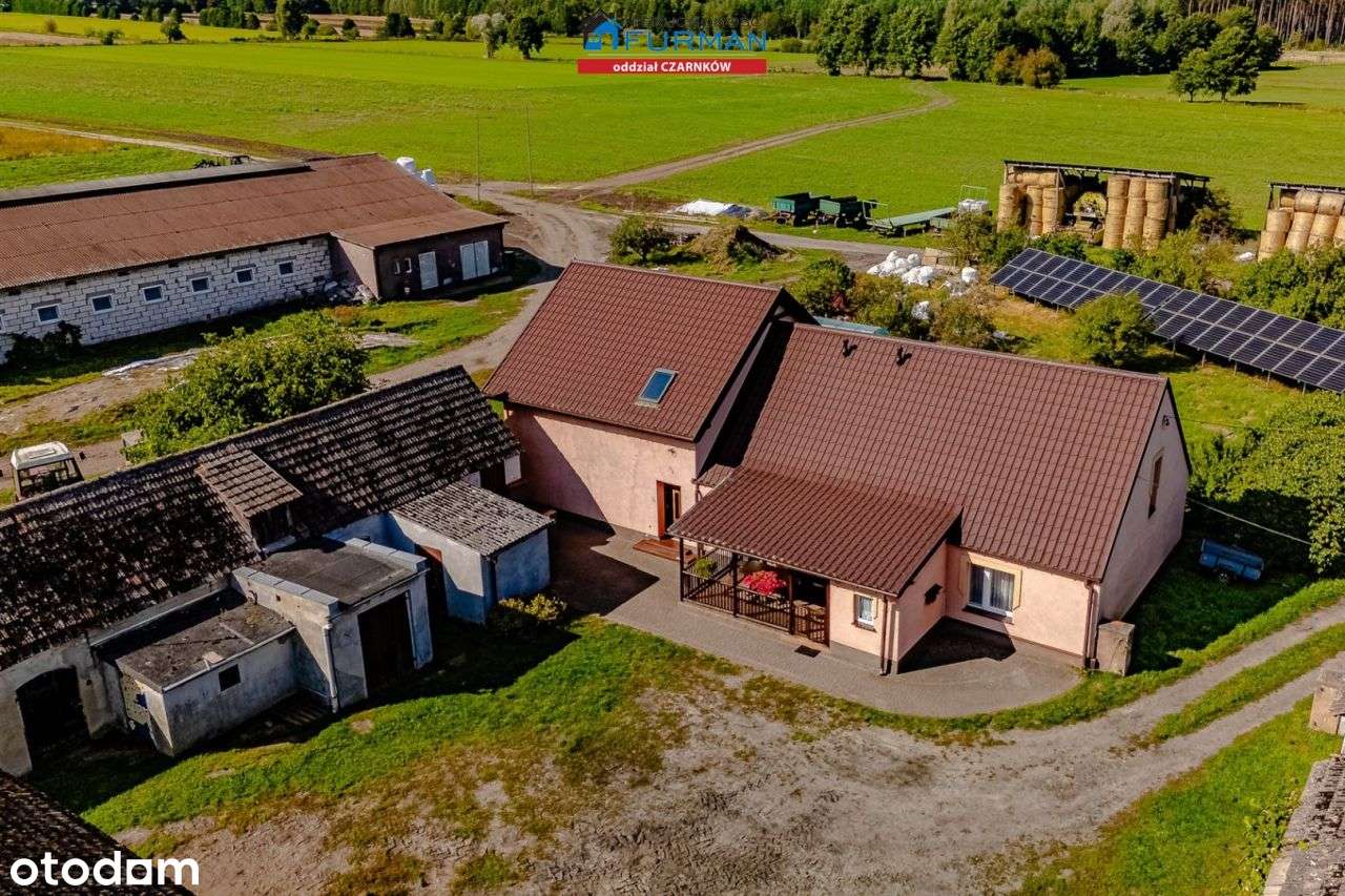 Czynne gospodarstwo rolne / produkcja mleka - Pełny obrazek: 5/20